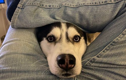 ベストポジション確保したんですが、何か?