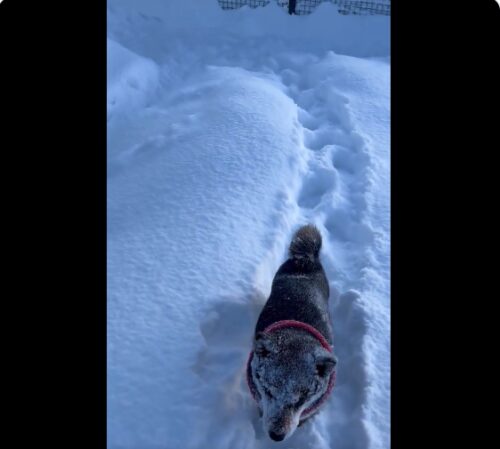 雪の中を進んだあと