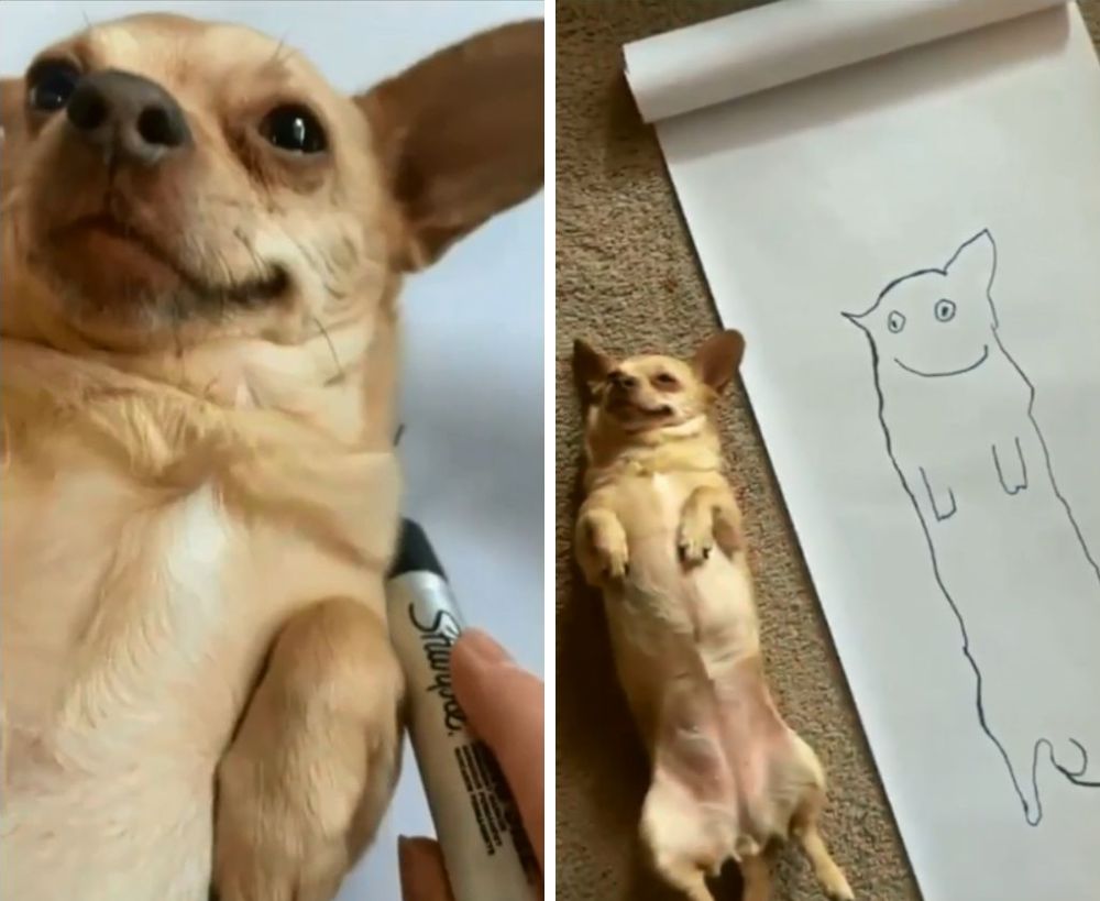 悲報 愛犬をかたどって絵を描いた結果 どうしてこうなった もふたん